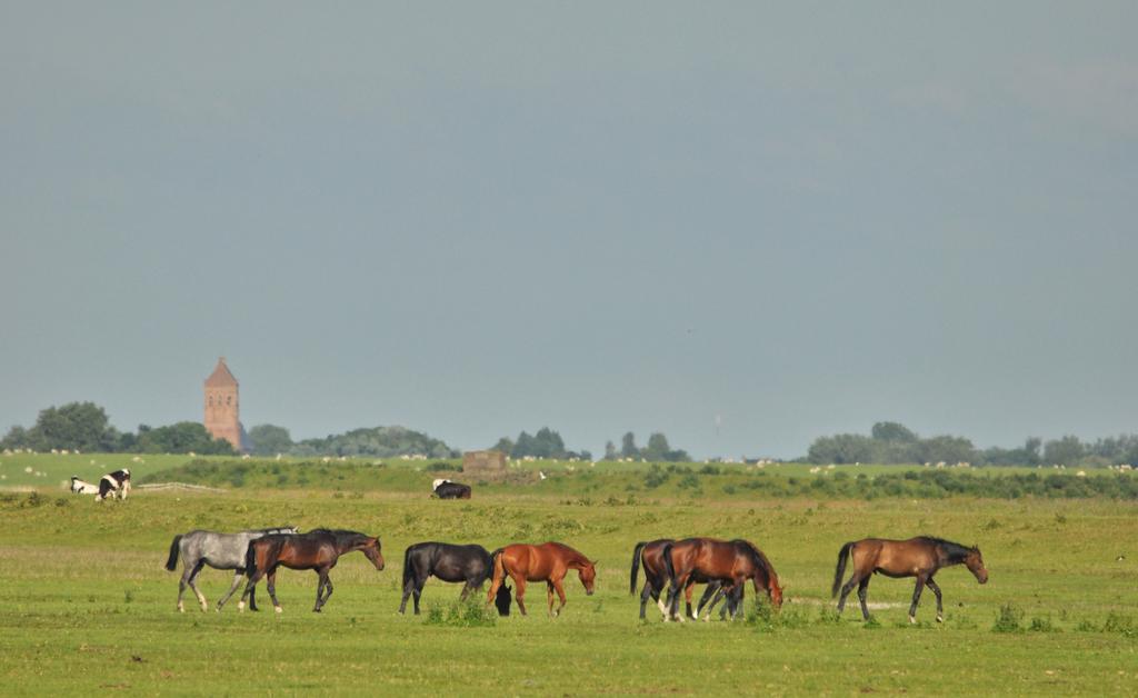 'T Laaisterplakky Bed and Breakfast Oude Bildtzijl Exteriör bild